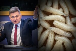 Διατροφική βόμβα στην Ευρώπη: Φαραντούρης: Παρέμβαση στην Κομισιόν για τη χρήση εντόμων και σκουληκιών στα τρόφιμα
