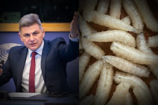 Διατροφική βόμβα στην Ευρώπη: Φαραντούρης: Παρέμβαση στην Κομισιόν για τη χρήση εντόμων και σκουληκιών στα τρόφιμα